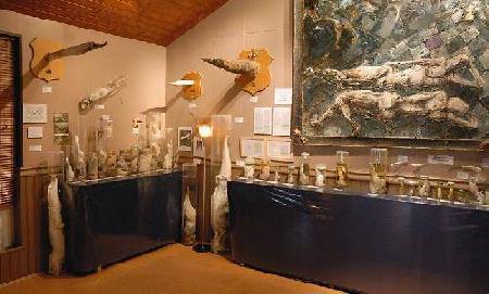 Husavik Museum