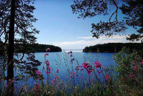 Russia  Valaam Island Valaam Island Karelia -  - Russia