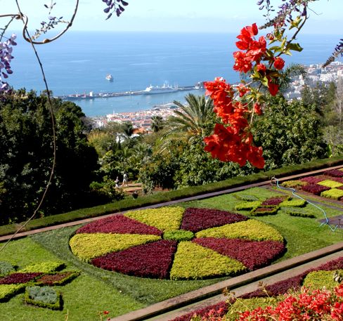 Portugal Funchal Botanical Garden Botanical Garden Funchal - Funchal - Portugal