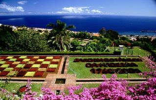 Portugal Funchal Botanical Garden Botanical Garden Funchal - Funchal - Portugal
