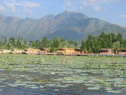 India Srinagar  Dal Lake Dal Lake Srinagar - Srinagar  - India