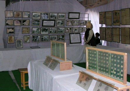 Chandigarh Museum