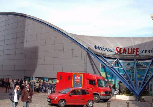 United Kingdom Birmingham National SeaLife Centre National SeaLife Centre Birmingham - Birmingham - United Kingdom