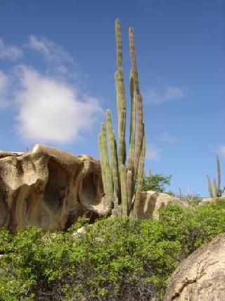 Aruba Oranjestad  Arikok Rocks Arikok Rocks Central America - Oranjestad  - Aruba