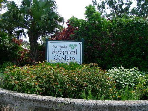 Bermuda Hamilton  Jardines Botanicos Jardines Botanicos Hamilton - Hamilton  - Bermuda