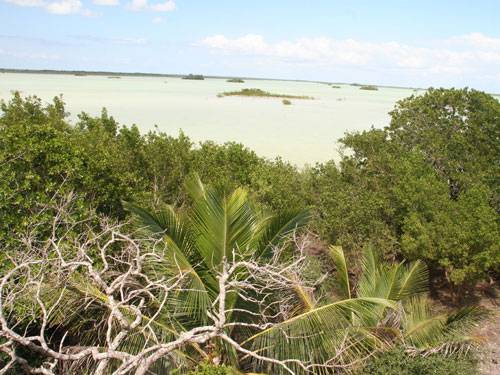 Belize Corozal  The Shipstem Nature Reserve The Shipstem Nature Reserve Corozal - Corozal  - Belize