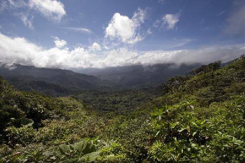 Costa Rica  Nuboso Monteverde  Forest Biological Reserve Nuboso Monteverde  Forest Biological Reserve Costa Rica -  - Costa Rica