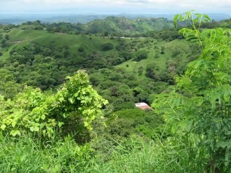 Costa Rica  Santa Elena Biological Reserve Santa Elena Biological Reserve Puntarenas -  - Costa Rica
