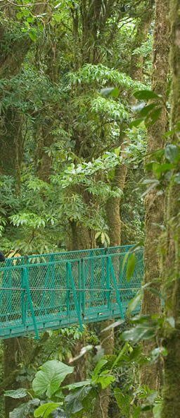 Costa Rica  Santa Elena Biological Reserve Santa Elena Biological Reserve Central America -  - Costa Rica