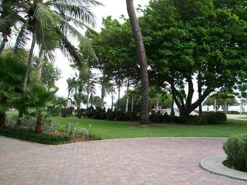 Aruba Oranjestad  Wilhelmina Park Wilhelmina Park Oranjestad - Oranjestad  - Aruba