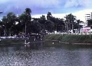 El Arenal Park