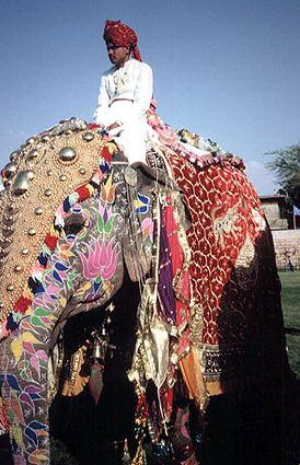 India Jaipur Elephant Festival Elephant Festival India - Jaipur - India