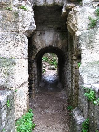 France Nimes Diana Temple Ruins Diana Temple Ruins Gard - Nimes - France