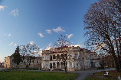 Wodzicki Palace