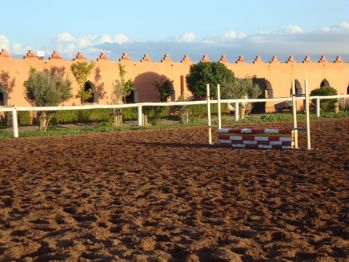 Morocco Marrakesh Royal Equestrian Club Royal Equestrian Club Marrakesh - Marrakesh - Morocco
