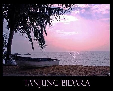 Tanjung Bidara