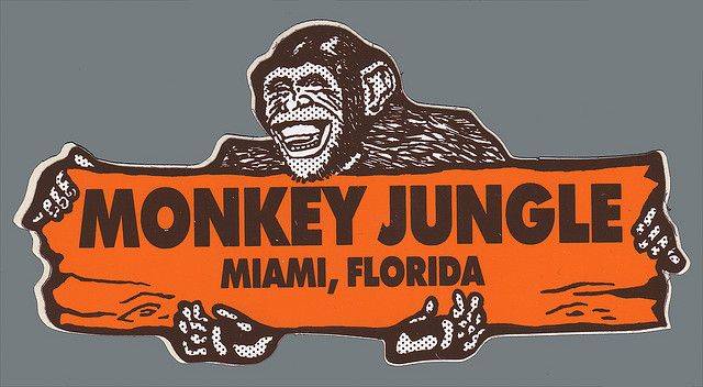 United States of America Miami  Monkey Jungle Monkey Jungle Miami - Miami  - United States of America