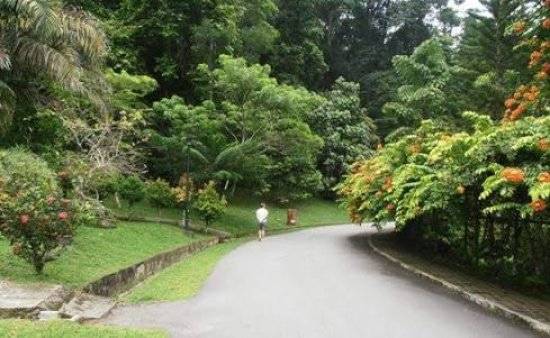 Malaysia Penang - George Town Penang Botanical Gardens Penang Botanical Gardens Penang - George Town - Penang - George Town - Malaysia