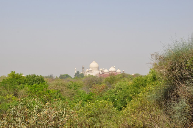 India Agra Natural Circuit of Taj Natural Circuit of Taj India - Agra - India