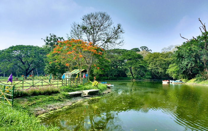 India Calcutta Botanical Garden Botanical Garden Kolkata - Calcutta - India