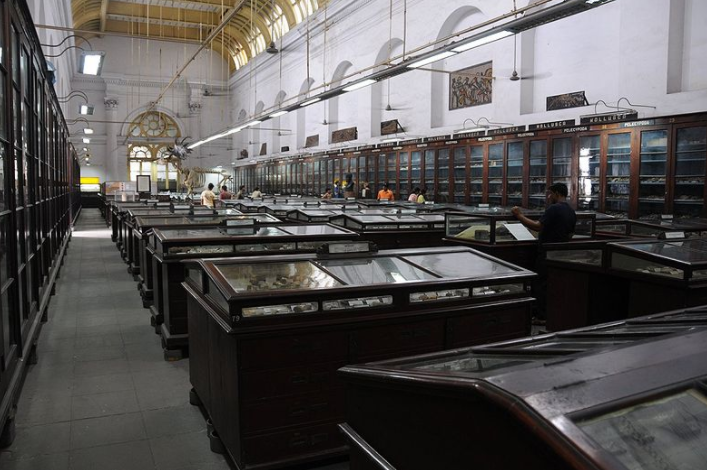 India Calcutta Indian Museum Indian Museum Bangla - Calcutta - India