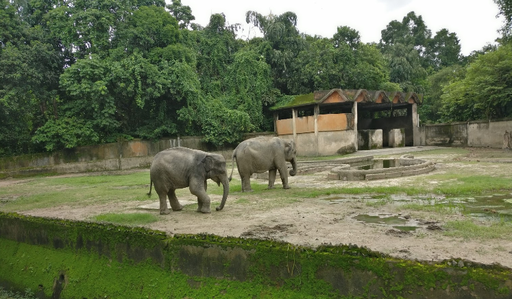 India Calcutta CALCUTA Zoo CALCUTA Zoo Bangla - Calcutta - India