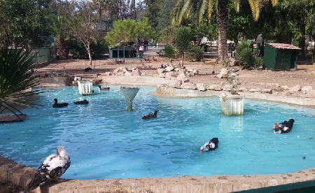 Tunis Zoo