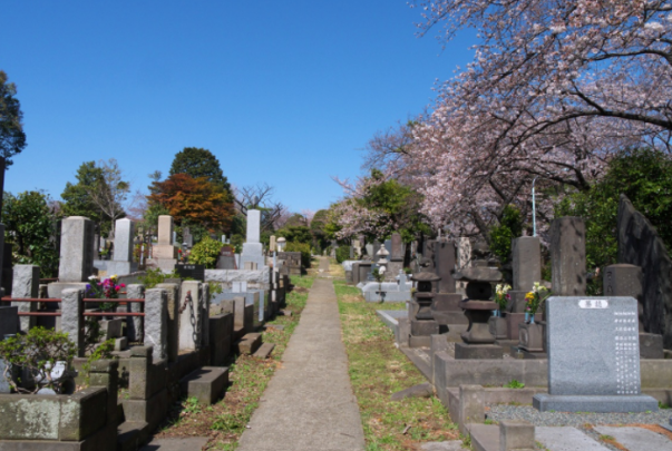 Japan Tokyo Aoyama Cemetery Aoyama Cemetery Tokyo - Tokyo - Japan