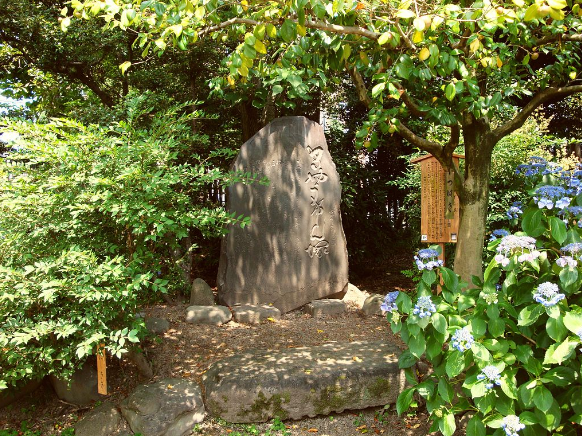 Japan Tokyo Mukojima Hyakka Garden Mukojima Hyakka Garden Japan - Tokyo - Japan