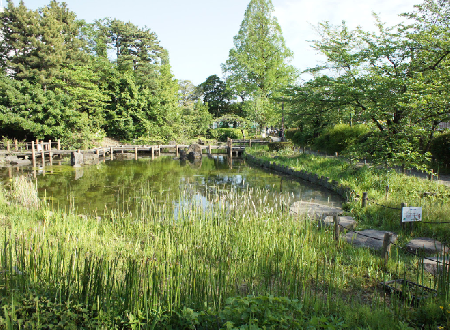 Tetsugakudo Park