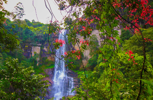 Sri Lanka Kandy Ramboda Falls Ramboda Falls Maha Nuwara - Kandy - Sri Lanka