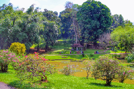 Peradeniya botanical gardens
