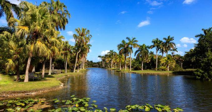 United States of America Miami  Fairchild Tropical Botanic Garden Fairchild Tropical Botanic Garden Florida - Miami  - United States of America