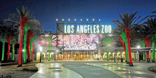 United States of America Los Angeles Los Angeles Zoo Los Angeles Zoo California - Los Angeles - United States of America