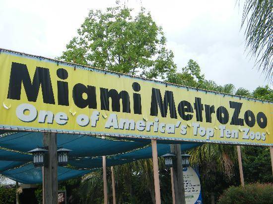 United States of America Miami  Metro zoo Metro zoo Miami - Miami  - United States of America