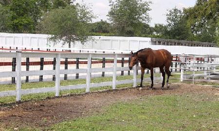 Miami Equestrian Center