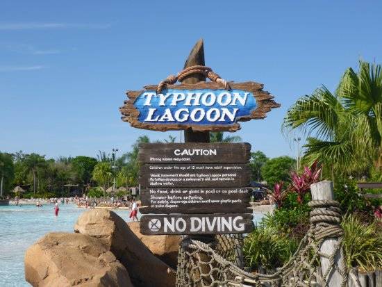 United States of America Orlando  Disney´s Thyphoon Lagoon Water Park Disney´s Thyphoon Lagoon Water Park The World - Orlando  - United States of America