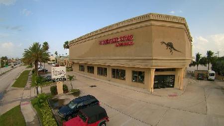 The Dinosaur Store