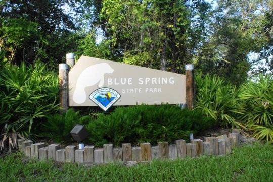 United States of America Orlando  Blue Spring State Park Blue Spring State Park Florida - Orlando  - United States of America