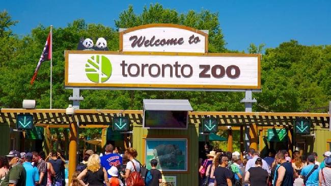 Canada Toronto Toronto Zoo Toronto Zoo Canada - Toronto - Canada