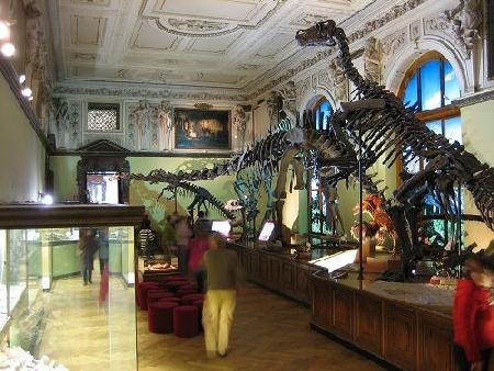 Natural History Museum