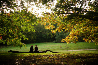 United Kingdom London  Hampstead Park Hampstead Park London - London  - United Kingdom