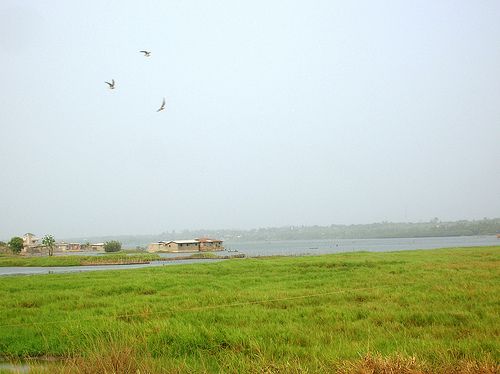 Benin Ouidah Aheme Lake Aheme Lake Ouidah - Ouidah - Benin