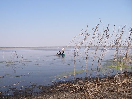 Botswana Maun Lake Ngami Lake Ngami Okavango - Maun - Botswana