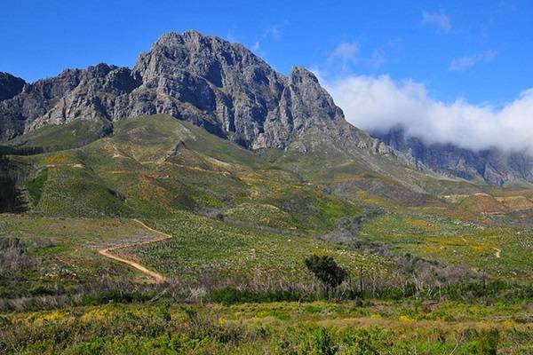 South Africa Cape Town  Jonkershoek Nature Reserve Jonkershoek Nature Reserve Western Cape - Cape Town  - South Africa