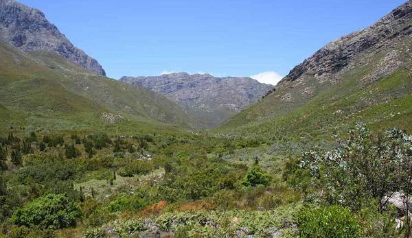 South Africa Cape Town  Jonkershoek Nature Reserve Jonkershoek Nature Reserve Cape Town - Cape Town  - South Africa