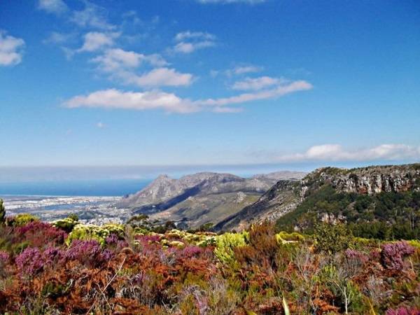 South Africa Cape Town  Silvermine Nature Reserve Silvermine Nature Reserve The Cape Metropole - Cape Town  - South Africa