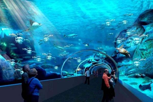 South Africa Cape Town  Two Oceans Aquarium Two Oceans Aquarium Western Cape - Cape Town  - South Africa
