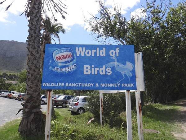 South Africa Cape Town  World of Birds Wildlife Sanctuary and Monkey Park World of Birds Wildlife Sanctuary and Monkey Park The Cape Metropole - Cape Town  - South Africa