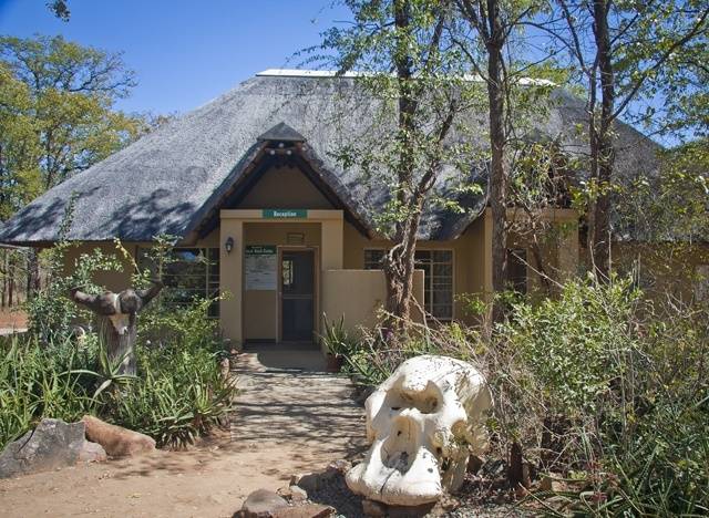 South Africa Kruger National Park Sirheni Camp Sirheni Camp Kruger National Park - Kruger National Park - South Africa